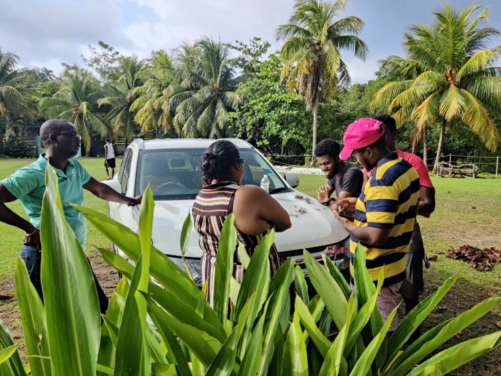 Climate Action : Nicholas Kee and Team